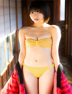 青云志电视剧全集