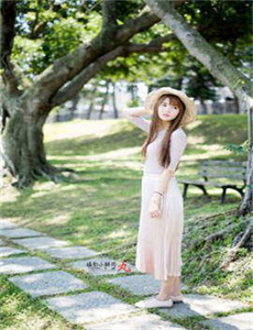 电影美女与野兽