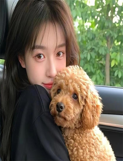 《艾曼妞4》娱乐指数引人入胜的：观赏性与娱乐价值综合评价