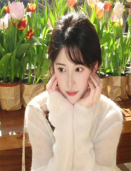 2025经典蔷薇少女 第三季回顾完整分析，最新